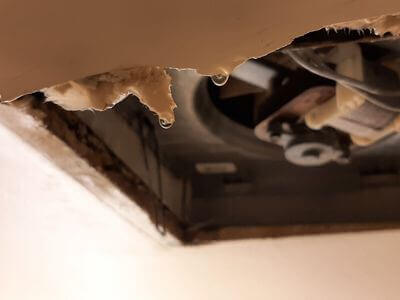 Professional water damage restoration rosenberg, tx services in Rosenberg